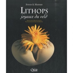 Lithops, Joyaux Du Veld - Collectif