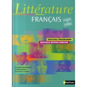 Litterature, Francais , Classes Des Lycees , Livre De L'eleve (edition 2007) - Christophe Desaintghislain , Christian Morisset 