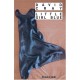 Little Girl Blue - David Cray