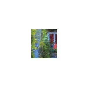Living Streets /anglais/allemand - Ebner Peter