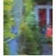 Living Streets /anglais/allemand - Ebner Peter