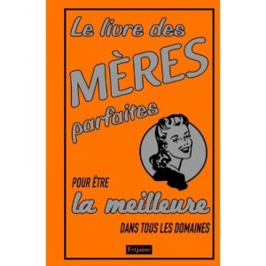 Le Livre Des Meres Parfaites Pour Etre La Meilleure Dans Tous Les Domaines - Alison Maloney