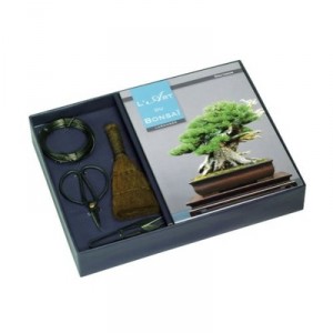 L'art Du Bonsai - Collectif