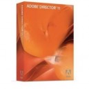 Adobe Systems Incorporated Adobe Director - (version 11 ) - ensemble complet - 1 utilisateur - DVD - Win - International Englis