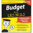 Anuman Interactive Budget pour les nuls