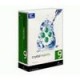 Crystal Reports Prof [Import anglais]