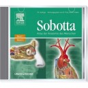Microsoft Sobotta - Atlas der Anatomie des Menschen [import allemand]