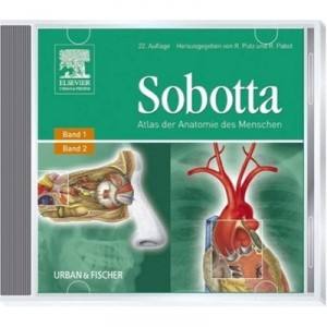 Microsoft Sobotta - Atlas der Anatomie des Menschen [import allemand]