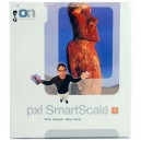 ONOne pxl SmartScale (PC/Mac) [Import anglais]