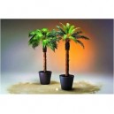 Phoenix Showcontroller Phoenix Canariese palm coconutbark 2,10m