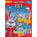Mindscape Lapin Malin CE1 - Le Défi des Pirates