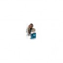 Speedlingua - Personal Edition Business - Version Anglais Des Affaires (Anglais Uk, 1 Utilisateur) -...