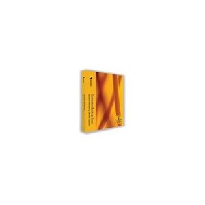 Symantec SYMC BACKUP EXEC SYSTEM RECOVERY SERVER 8.0 WIN ML CD BUS PACK