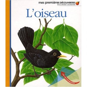 L'oiseau - Collectif