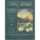 L'oracle Druidique Des Plantes , Travailler Avec La Flore Magique De La Tradition Druidique - Philip Carr-gomm , Stephanie Carr