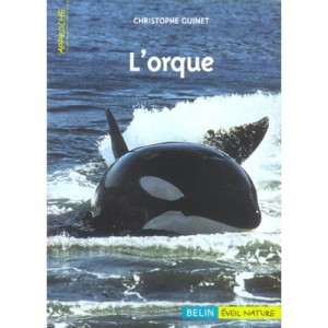 L'orque - Christophe Guinet