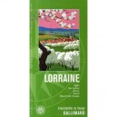 Lorraine , Metz, Etang De Lindre, Citadelle De Bitche, Basilique - Collectif