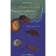 Maina Et Le Volcan , Mayna Epi Volkan-an - Michelle Jouve