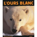 L'ours Blanc - Valerie Tracqui , Sylvain Cordier