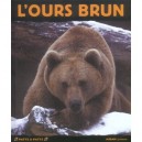 L'ours Brun - Valerie Tracqui