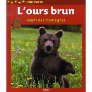 L'ours Brun, Geant Des Montagnes - Valerie Tracqui , Bios , Bonte