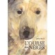 L'ourse Des Neiges - Jackie Morris