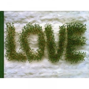 Love - Isabelle Gil