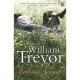Love And Summer - William Trevor