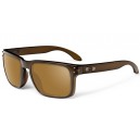 Oakley Holbrook