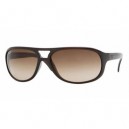 Ray-Ban 4124 Gris dégradé 601/8G
