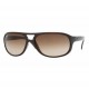 Ray-Ban 4124 Gris dégradé 601/8G