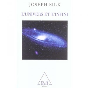 L'univers Et L'infini - Joseph Silk