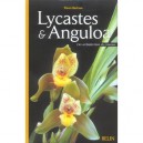 Lycastes Et Anguloa , Des Orchidees Hors Du Commun - Pierre Bertaux