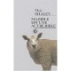 Ma Bible Est Une Autre Bible - Meir Shalev