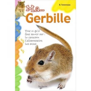 Ma...gerbille , Tout Ce Qu'il Faut Savoir Sur : Le Caractere, L'alimentation, Les Soins - Collectif