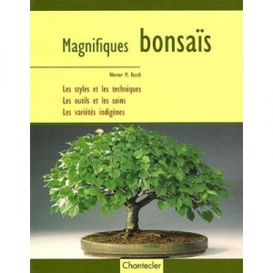 Magnifiques Bonsais - Collectif