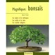 Magnifiques Bonsais - Collectif