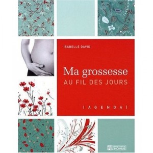 Ma Grossesse Au Fil Des Jours - Isabelle David