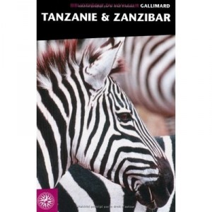 Tanzanie  Zanzibar - Collectif