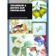 Technique Et Motifs Sur Porcelaine - A Creuze