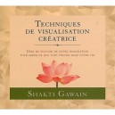 Techniques De Visualisation Creatrice - Shakti Gawain