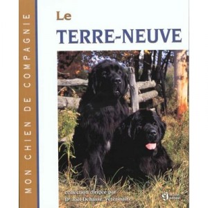 Newfoundland - Joel Dehasse
