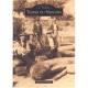 Terres Du Vercors - Collectif