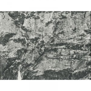 D'apres Nature - Jean Gaumy