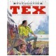 Tex Special T.23 , Patagonie - Pasquale Frisenda , Mauro Boselli