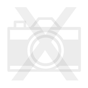The Anomalies - Goebel Joey