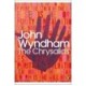The Chrysalids - Wyndham John
