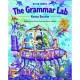 The Grammar Lab 3 Eleve - Bourke