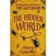 The Hidden World , The Remarkable Adventures Of Tom Scatterhorn - Henry Chancellor