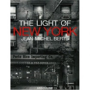 The Light Of New York - Andre Ancinan